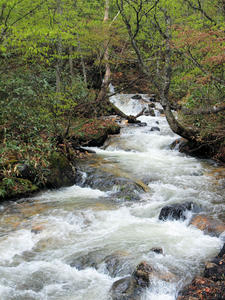 20110614_20shuusei.jpg