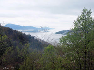 20110614_34shuusei.jpg