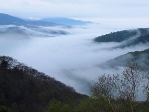 20110614_36shuusei.jpg