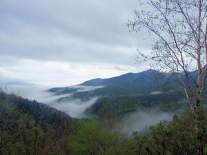 20110614_43shuusei.jpg