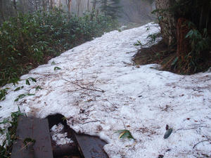 20110614_46shuusei.jpg
