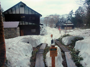 20110614_71shuusei.jpg