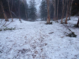 20110614_63shuusei.jpg
