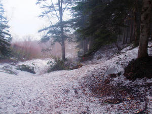 20110614_65shuusei.jpg