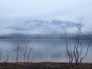 20110614_78shuusei.jpg