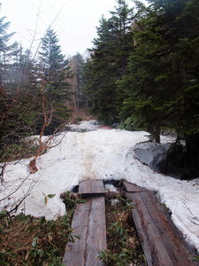 20110614_81shuusei.jpg