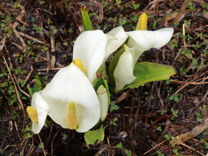 20110614_89shuusei.jpg