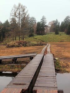 20110614_111shuusei.jpg