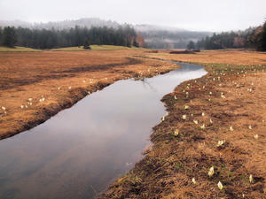 20110614_112shuusei.jpg