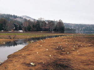 20110614_115shuusei.jpg