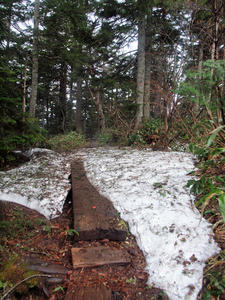 20110614_119shuusei.jpg