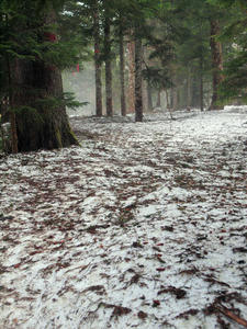 20110614_120shuusei.jpg