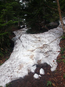 20110614_125shuusei.jpg