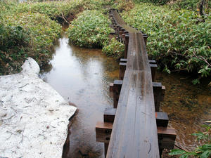 20110614_126shuusei.jpg