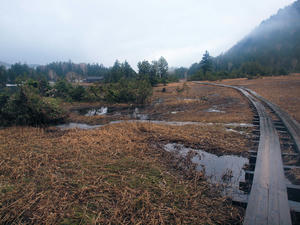 20110614_130shuusei.jpg