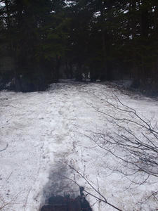 20110614_146shuusei.jpg