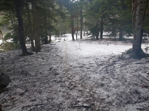 20110614_147shuusei.jpg
