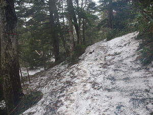 20110614_151shuusei.jpg