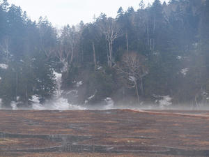 20110614_154shuusei.jpg