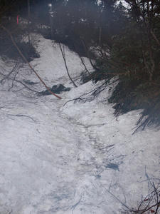 20110614_158shuusei.jpg