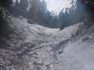 20110614_160shuusei.jpg