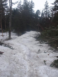 20110614_166shuusei.jpg