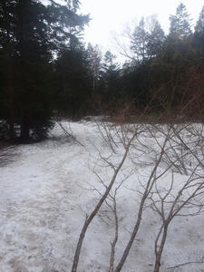 20110614_168shuusei.jpg