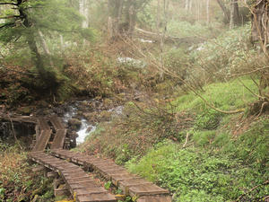 20110614_194shuusei.jpg