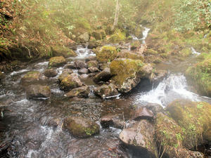 20110614_196shuusei.jpg