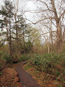 20110614_204shuusei.jpg