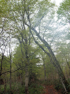 20110614_213shuusei.jpg