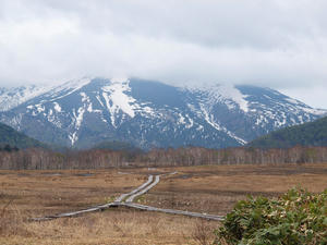 20110614_219shuusei.jpg