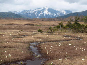20110614_238shuusei.jpg