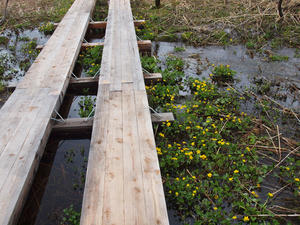 20110614_243shuusei.jpg