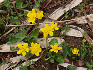 20110614_251shuusei.jpg