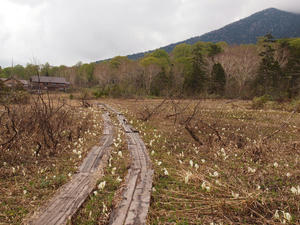 20110614_256shuusei.jpg