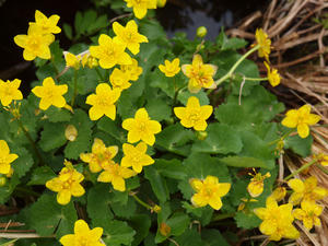 20110614_259shuusei.jpg