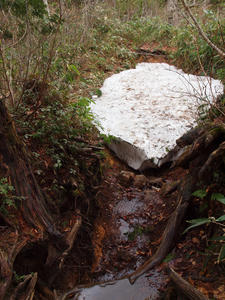 20110614_267shuusei.jpg