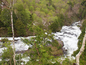 20110614_275shuusei.jpg
