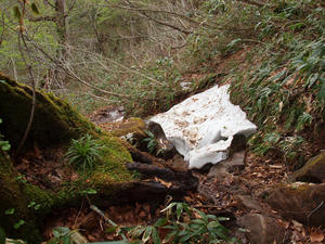 20110614_288shuusei.jpg