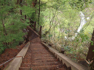 20110614_298shuusei.jpg