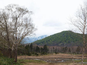 20110614_326shuusei.jpg