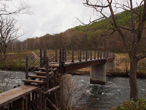 20110614_360shuusei.jpg