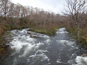 20110614_363shuusei.jpg