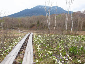 20110614_376shuusei.jpg