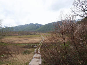 20110614_380shuusei.jpg