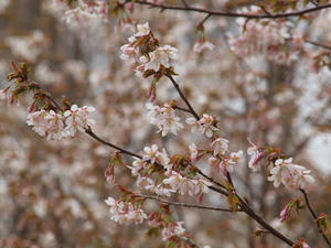 20110614_385shuusei.jpg