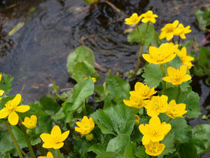 20110614_394shuusei.jpg