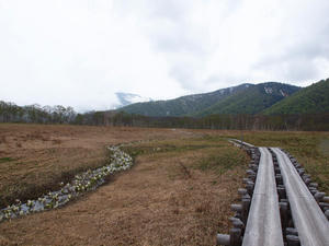 20110614_401shuusei.jpg