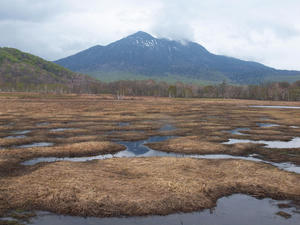 20110614_414shuusei.jpg